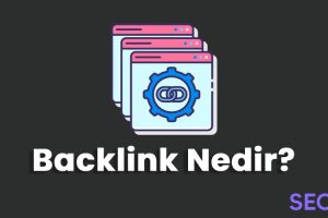 backlink nedir