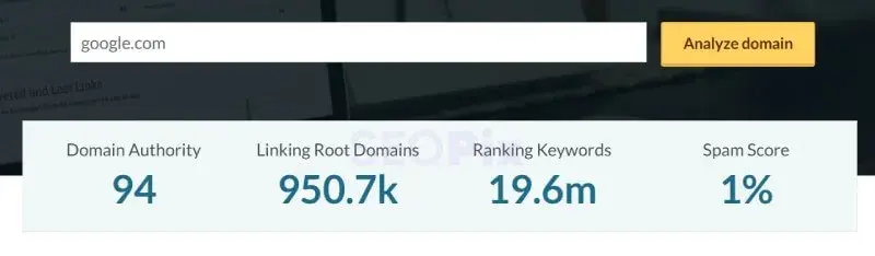 Domain Otoritesi Nedir