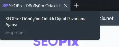 Favicon Nedir